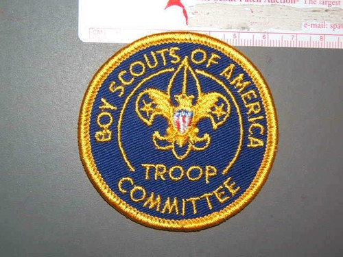Boy Scout Troop Committee 8920P - 第 1/1 張圖片