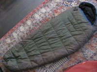 Alps Mountaineering Sleeping Bag Desert Pine 20F Youth NO STUFF SACK