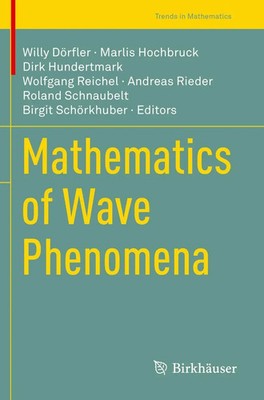 Willy Dörfler (u. a.) | Mathematics of Wave Phenomena | Taschenbuch | Englisch