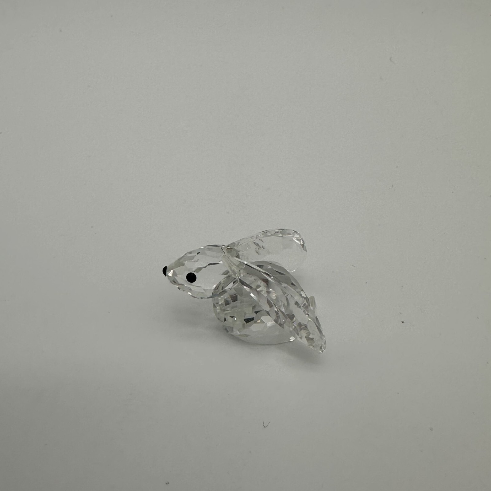 Picture 3 of 6