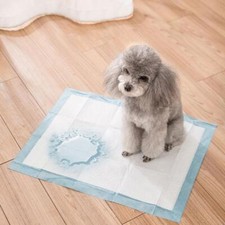 100/20PCS XL Thickened Pet Training Pads for Cats and Dogs
