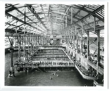 c.1900 SUTRO BATHS INTERIOR SWIMMING POOLS,BATHERS & SPECTATORS~8x10 PHOTO PRINT
