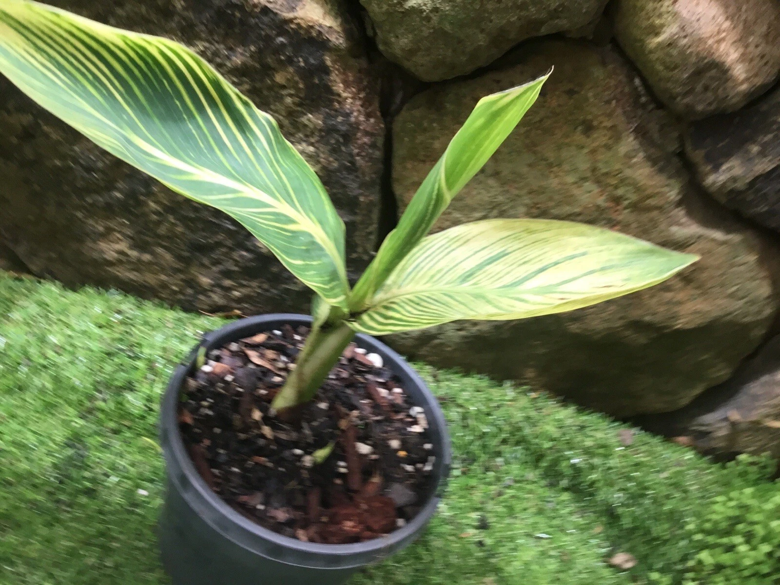 Picture 2 of 6