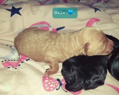 Eh Shpokce5sxm