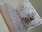 Foto 7 di 7