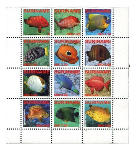 Polynésie française - collection avancée de timbres et