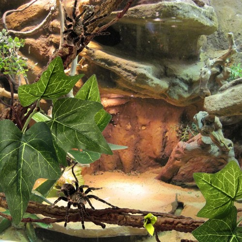 Reptil Eckzweig Realistische Terrarium Dekoration Für Reptilien - Bild 22 von 24