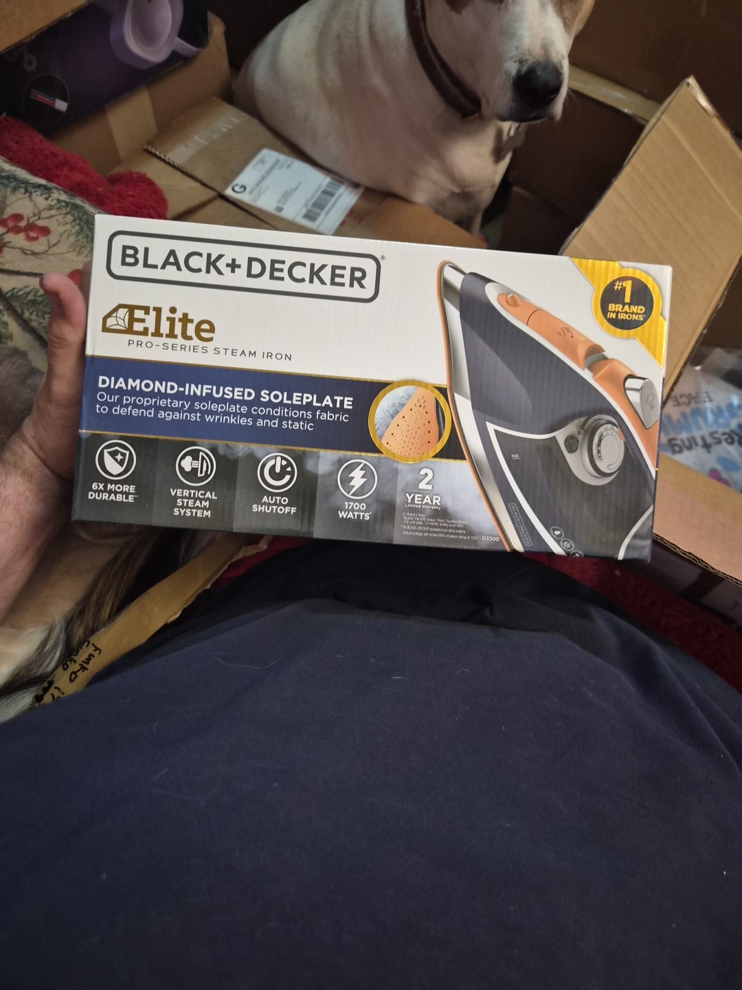 BLACK+DECKER D3300 Elite Pro Series Steam Burst Vertical Steaming Auto Shutoff