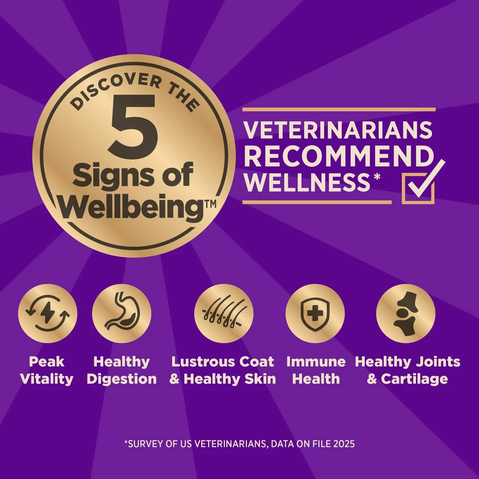 Comida seca para perros Target sin granos 4 libras de proteína envasada cordero liofilizado crudo Foto 2 de 4