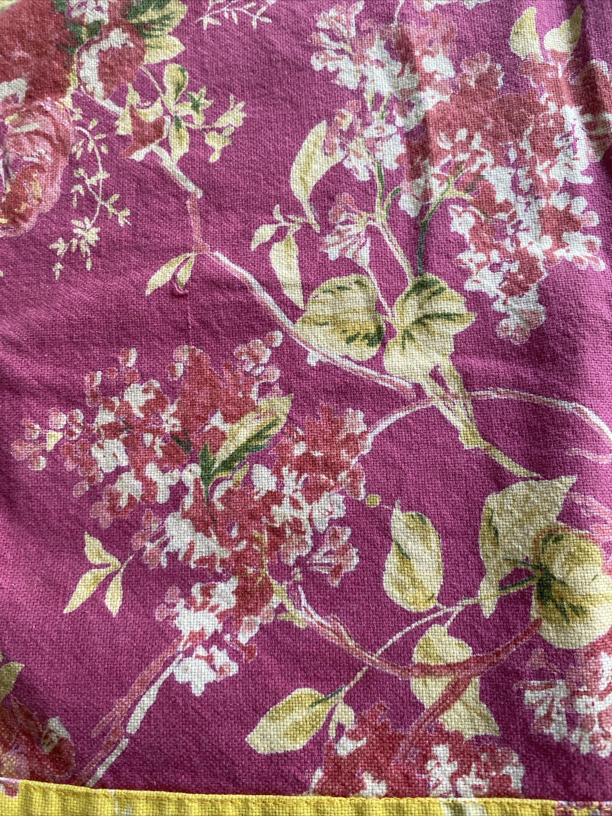 Picture 5 of 19