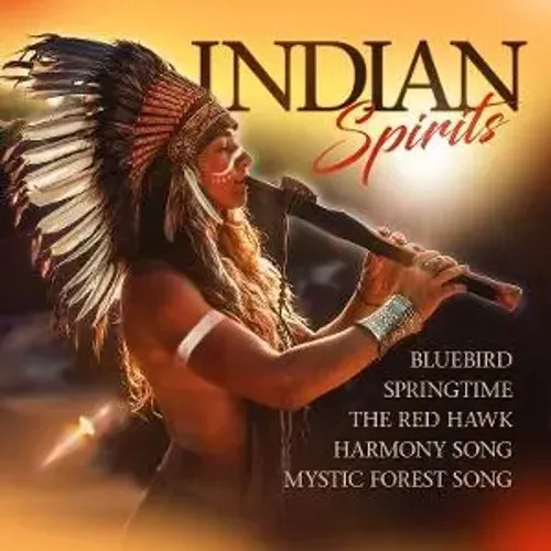 Indian Spirits | Various | Audio-Cd | Cd | 2025 | ZYX-MUSIC / Merenberg-image
