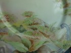 Bild 8 von 18