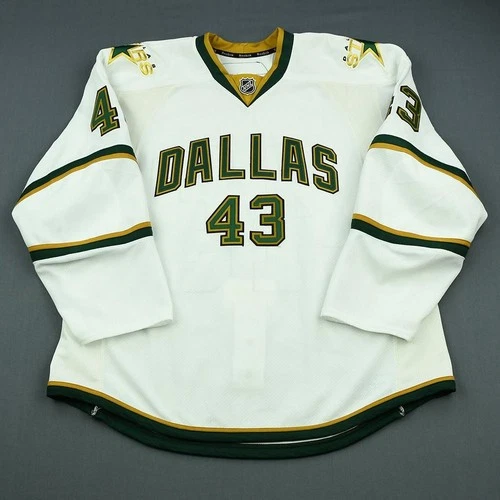 2010-11 Trevor Ludwig Dallas Stars Game Used Worn NHL Hockey Jersey MeiGray