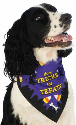 Trick or Treat Bandana Small Medium Dog Pet Costume Rubies Pet Shop