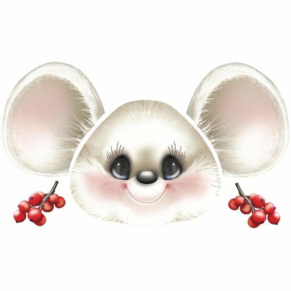 Foto 1 di 1