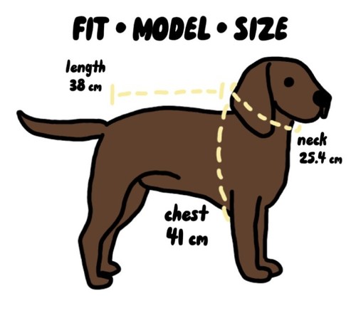 Pet Sweater / Dog Autumn Winter Sweater / Pet Clothes/Supawmarket - Picture 7 of 7