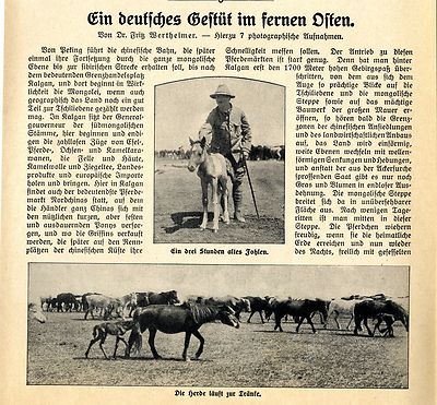 Das Pferdegestüt des Oblt.Jobst in der Mongolei. Orig.Foto-Report m.Aufn.v.1912