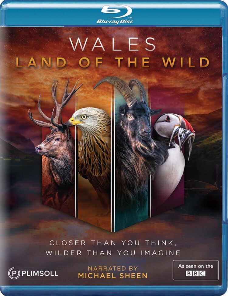 Wales - Land Of The Wild Dazzler - Image 2