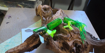 NEW 7'' RIVER SNAKE NEON GREEN