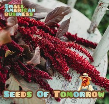 4000 Organic Non-GMO Red Garnet Amaranth Seeds- With Bonus!