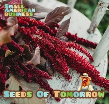 4000 Organic Non-GMO Red Garnet Amaranth Seeds- With Bonus!