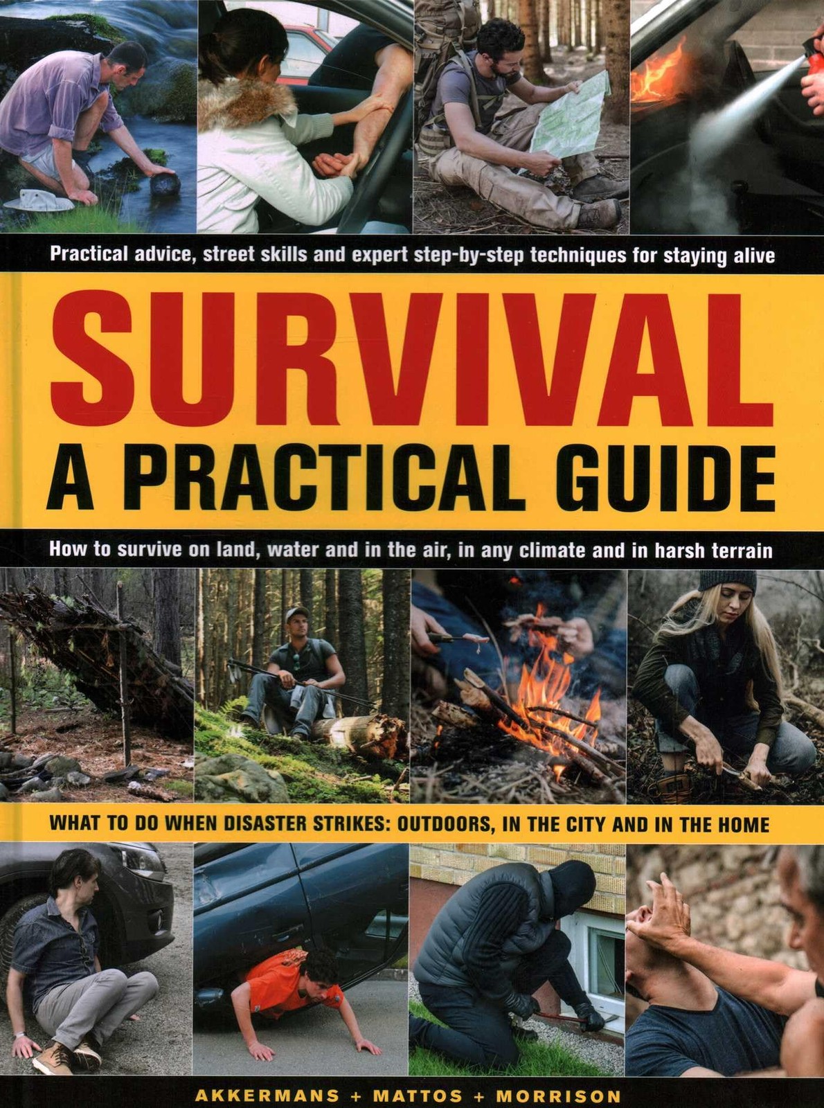 Survival: A Practical Guide: What to do when di. Akkermans, Mattos, Morrison**