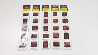 5 Packs of Dexter Super 35 Travel Slides - Washington DC