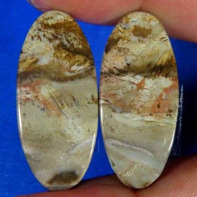 22.80Cts.100% Natural Palm Root Agate Oval Cab 13x29x3mm Royal Pair Top Gemstone