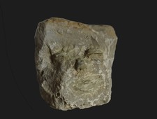 Stein, Naturstein, Skulptur, Figur, Statue, Gesicht, Sandstein, Märchen, Garten