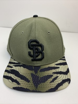 nike sb cap green