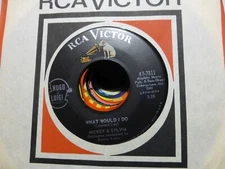 MICKEY AND SYLVIA THIIS MY STORY  & WHAT WOULD I DO EXC R&b.  45