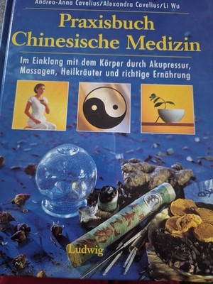 Praxisbuch Chinesische Medizin von Andrea-Anna Cave.. Neuwertig