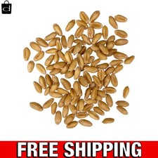Soft White Wheat Berries  18 LB Certified Glyphosate Free  Sustainable