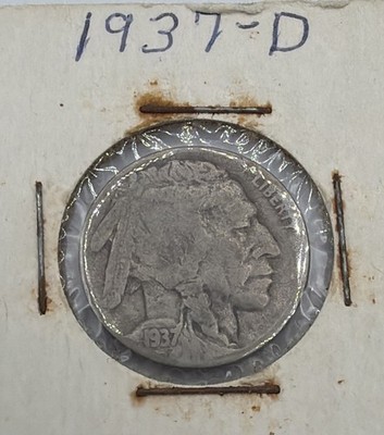 1937-D Buffalo Nickel Old holder for decades! Strong D!