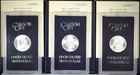 SET OF 3  *  1882-84-CC    CARSON  CITY  DOLLARS  *  GSA ISSUE  *  Boxes & Cards