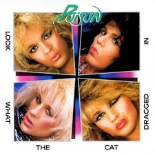 POISON Look What the Cat Dragged In BANNER HUGE 4X4 Ft Fabric Poster Flag art