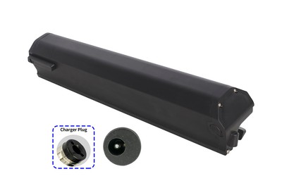 36V 14,5Ah 522Wh Akku für Proxy Cycle Hydro Prime / Hydro Elite / Hydro Zen