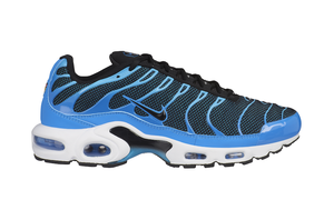 black and blue air max plus