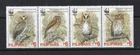 E1537 - Philippines 2004 - MNH - Vogels / Birds  (WWF/WNF)
