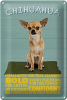 Blechschild Spruch 20X30 Cm Chihuahua Hund Bold Confident Deko Schild Tin Sign