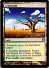 Magic the Gathering Grasslands Duel Decks: Knights vs. Dragons MTG Free Shipping