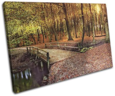 Forest Bridge Landscapes SINGLE Leinwand Wand Kunst Bild drucken