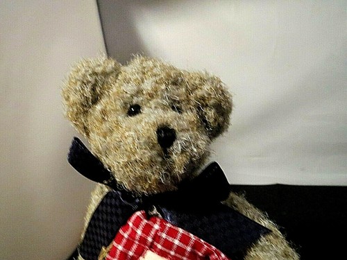 Boyds Bear-Friend Lee Bear-1988-2005 9" #2472 - Picture 3 of 8