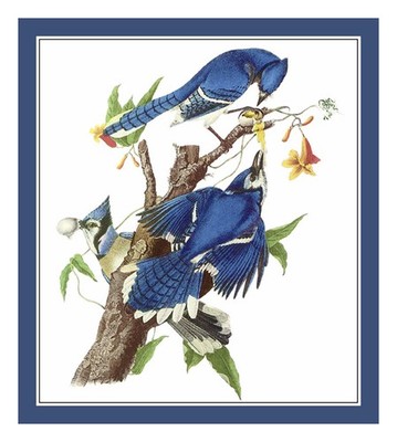 Naturalist Audubon Birds Blue Jays Counted Cross Stitch Chart Pattern