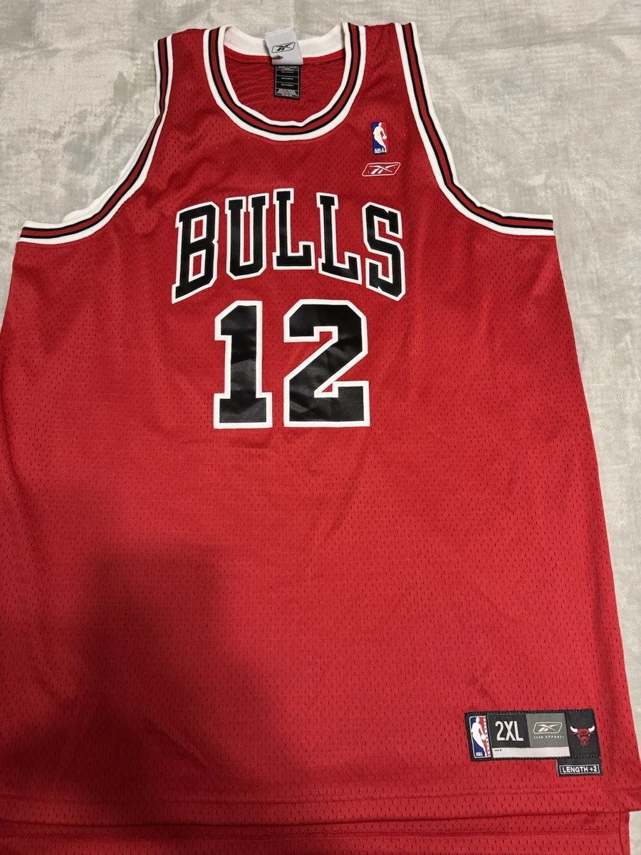 kirk hinrich jersey products for sale | eBay