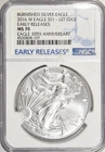 2016 W BURNISHED SILVER EAGLE ~ EARLY RELEASES ~ NGC MS70 ~ #107