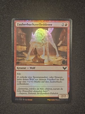MAGIC MTG - Zauberbuchzerfledderer - STX 117/275 - STRIXHAVEN - C - HOLO