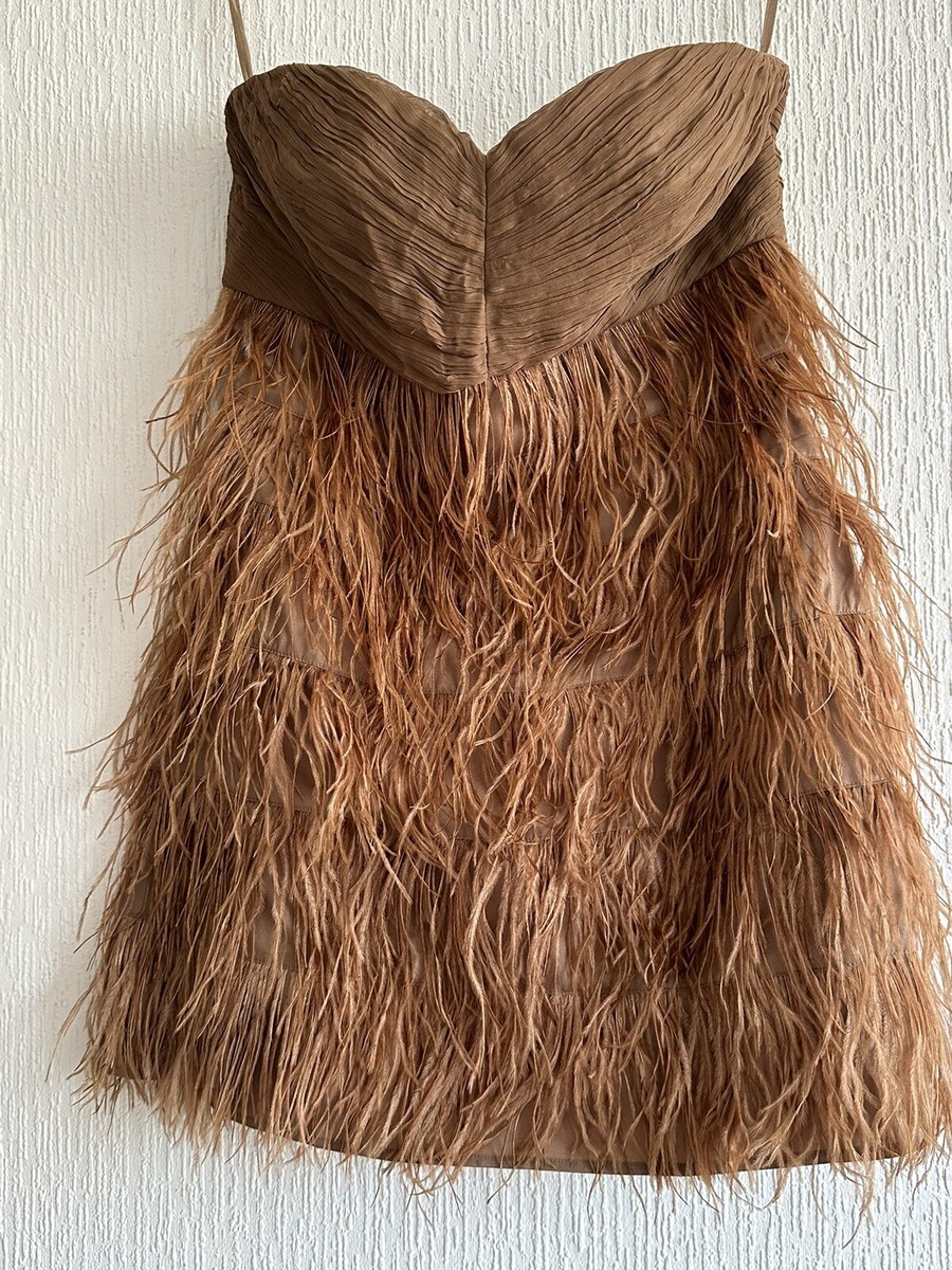 BROWN SILK FEATHER DRESS EUR L ZARA STRAPLESS SUMMER HOLIDAY PARTY GLAM OCCASION | eBay BROWN SILK FEATHER DRESS EUR L ZARA STRAPLESS SUMMER HOLIDAY PARTY GLAM OCCASION | eBay