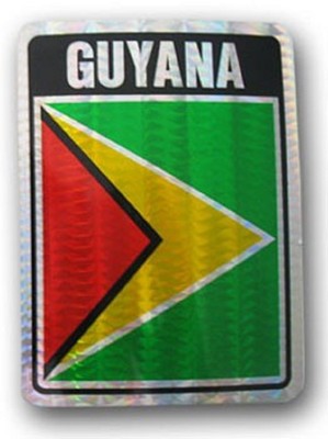 GUYANA PRISMATIC  REFLECTIVE FLAG STICKER DECAL  - NEW - FREE SHIPPING