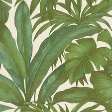 Wallpaper Versace Textured Green Palm Leaves,...